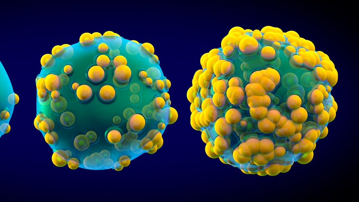 Alimenti per Potenziare il Sistema Immunitario
